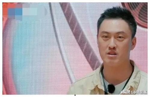 娱乐圈吃瓜爆料燕子,燕子吃瓜爆料,揭秘明星幕后故事 第2张 娱乐圈吃瓜爆料燕子,燕子吃瓜爆料,揭秘明星幕后故事 第2张